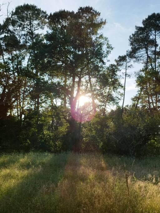 Bienvenue En Sud Gironde Villa Villandraut Kültér fotó